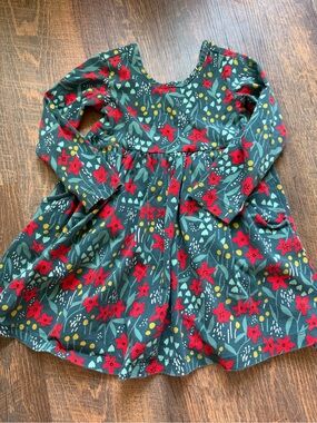 Hanna Andersson Green Floral Long-Sleeve Dress with Red Flowers